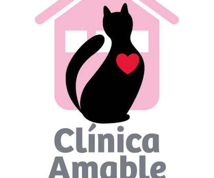 Clinica Amable con los Gatos 2012-13
