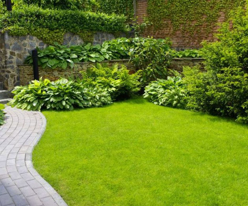 ¿Cómo elegir el mejor césped para tu jardín?
