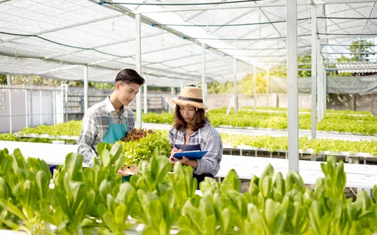 Imagen 2 de la galería