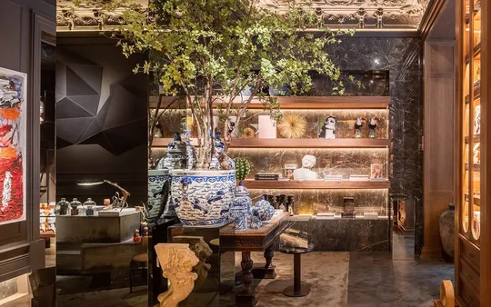 Imagen 4 de la galería