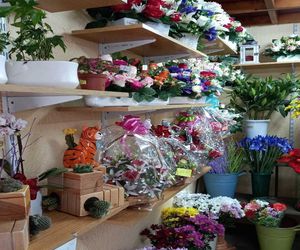 Razones para regalar flores