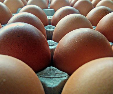 10 COSAS SOBRE EL HUEVO QUE QUIZÁS NO SABIAS 