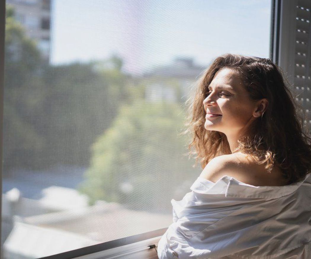 Ventanas abiertas, casa segura: Disfruta de la ventilación sin bichos con mosquiteras