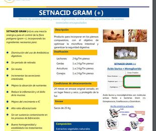 Setnacid Gram (+)