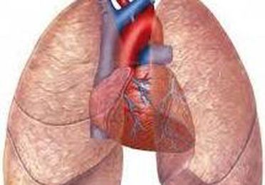 Problemas respiratorios y circulatorios