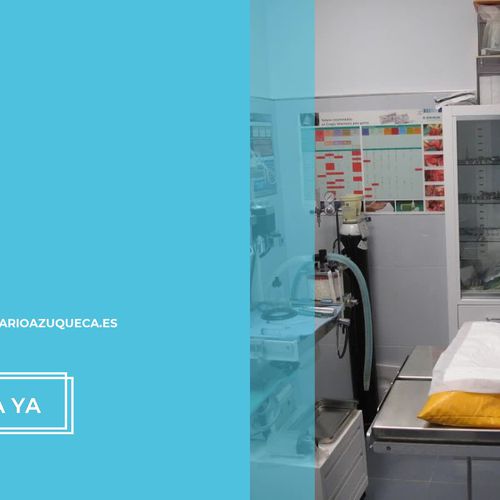 Clínica veterinaria en Azuqueca de Henares | Centro Veterinario Azuqueca