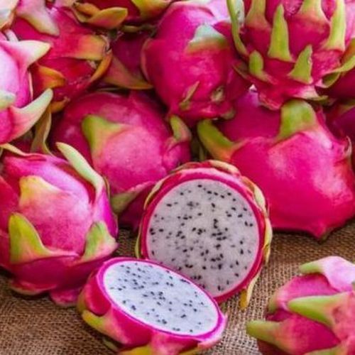 Venta de pitayas