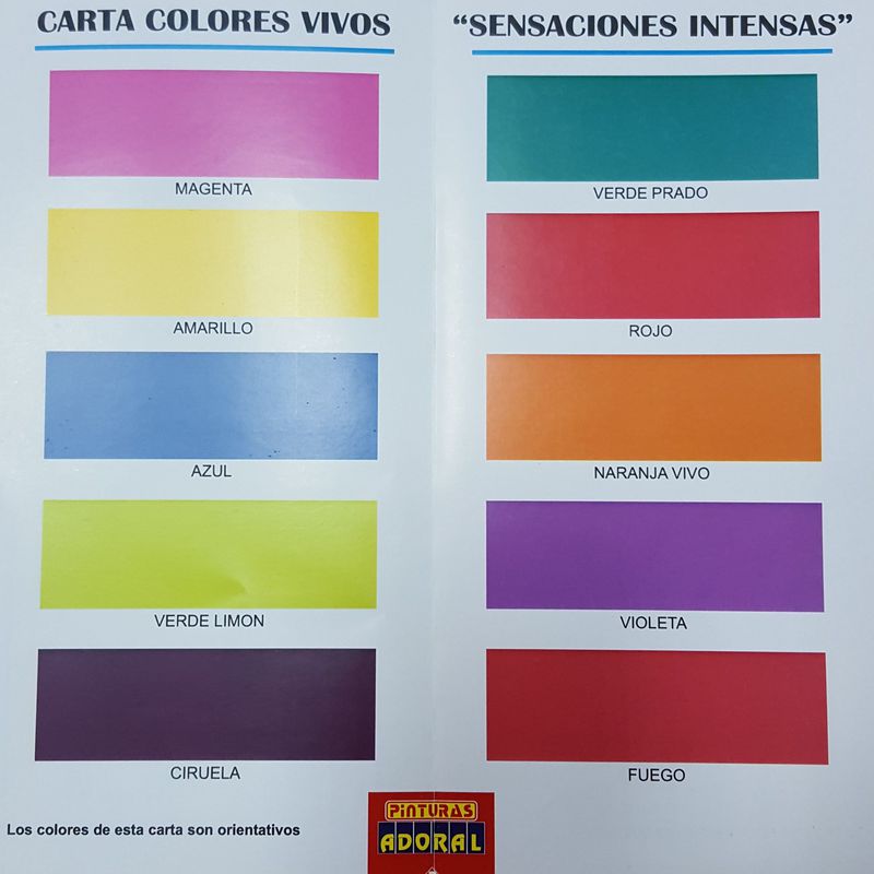 Carta de Colores Vivos: Servicios y productos de Hnos. Guerrero, S.L.