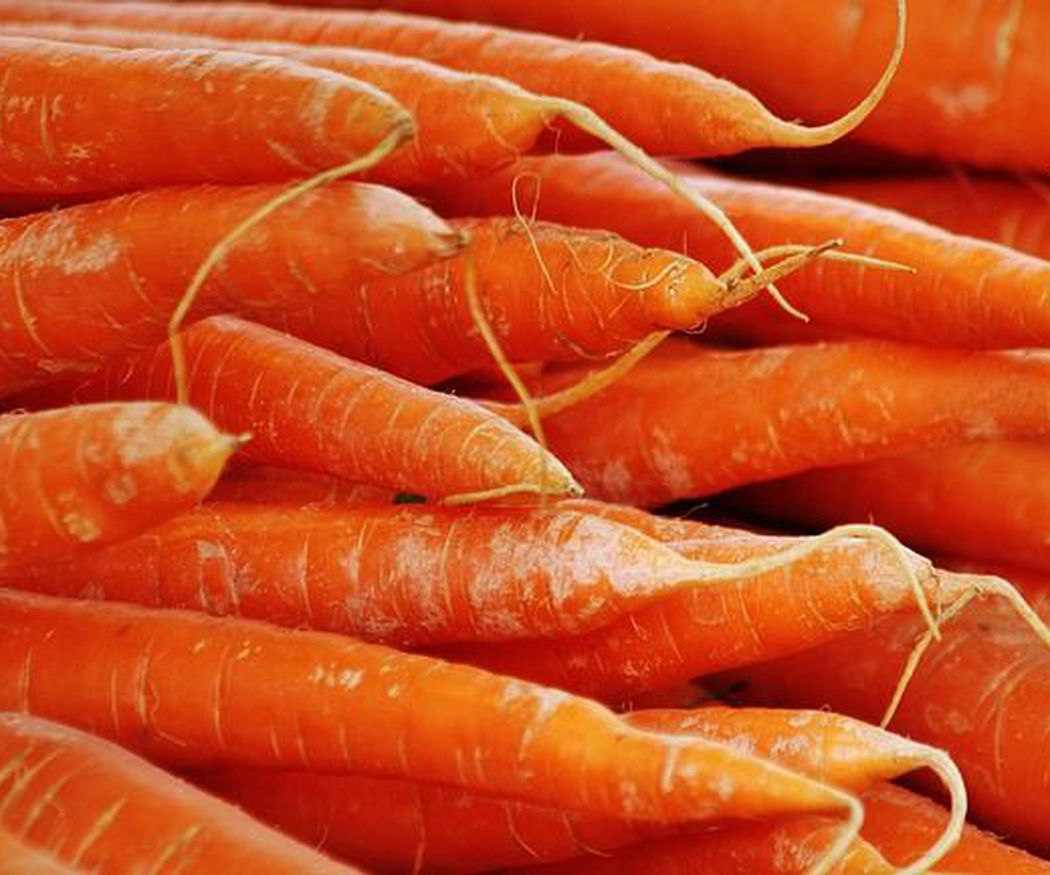 Beneficios y propiedades de las zanahorias