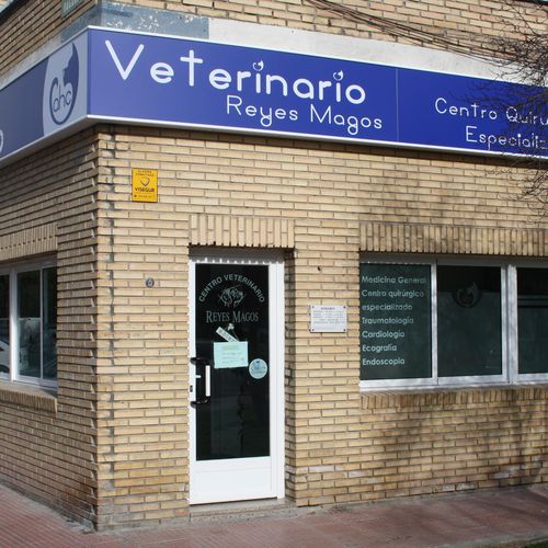 Impulso Calor Conductividad Veterinarios en Alcalá de Henares | Centro Veterinario Reyes Magos