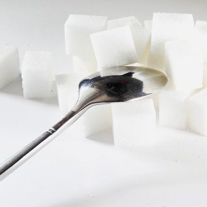 Azúcar: el gran combustible del cerebro