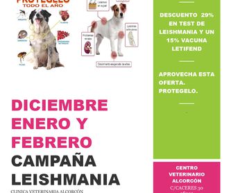 Peluquería canina y felina: Servicios de Veterinario Alcorcón