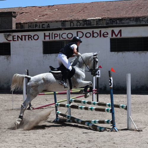 Montar a caballo en Sevilla