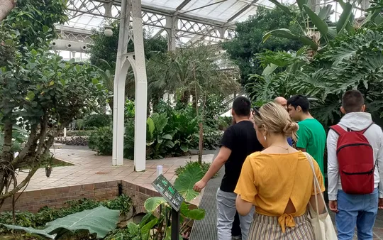 Imagen 2 de la galería