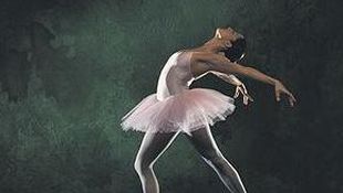 Imagen de Servicios - Gran formato color