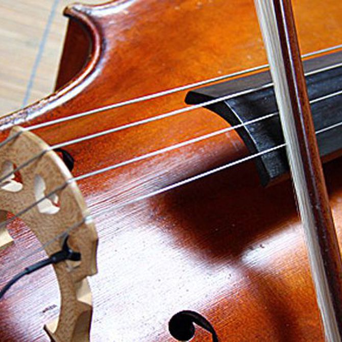 Diferencias entre el violín y la viola