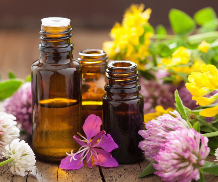 Formulación en fitoterapia: Servicios de Fisiocentre Salut