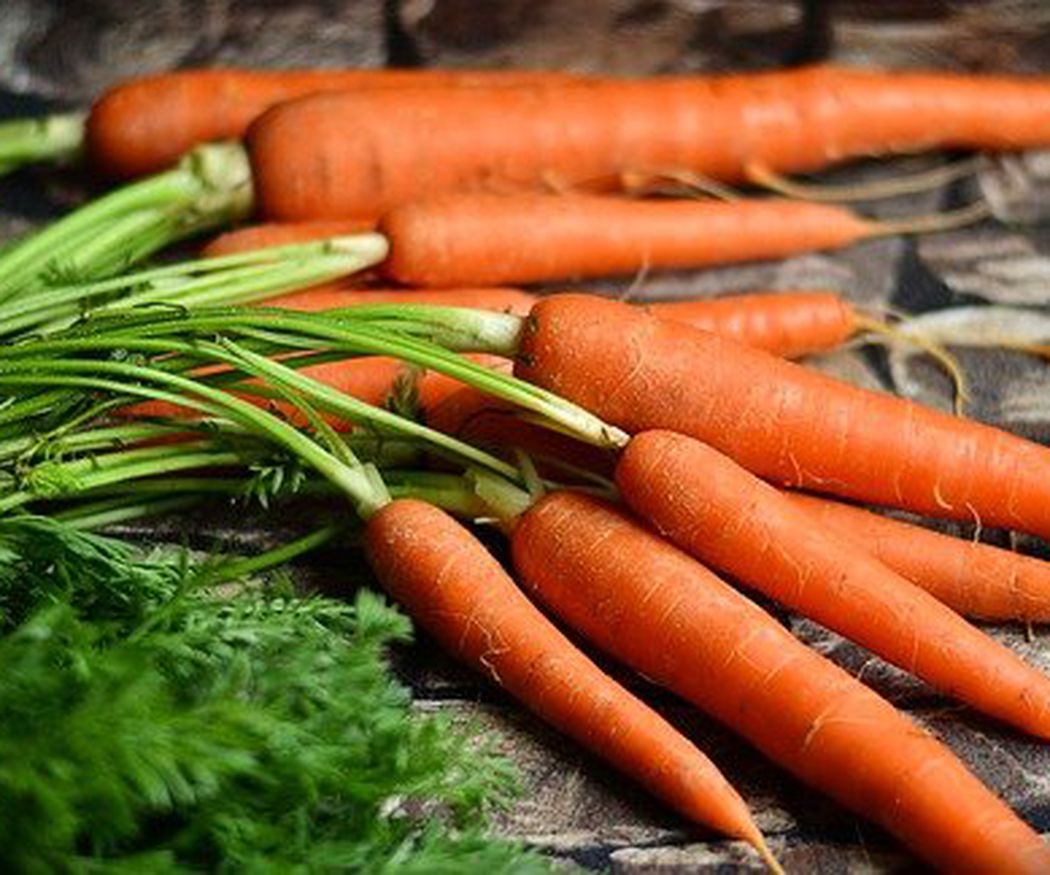 Zanahorias, un cultivo social