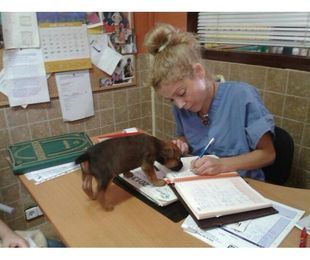 Medicina interna