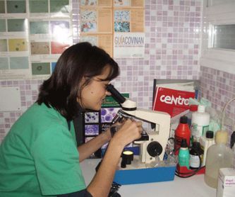Desparasitación y vacunas: Servicios de Clínica Veterinaria Pirámides