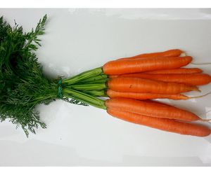 Zanahorias en manojo