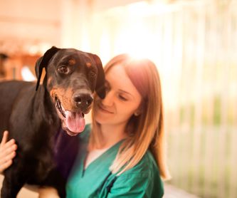Peluquería canina y felina: Servicios de Serveis Veterinaris Esparreguera