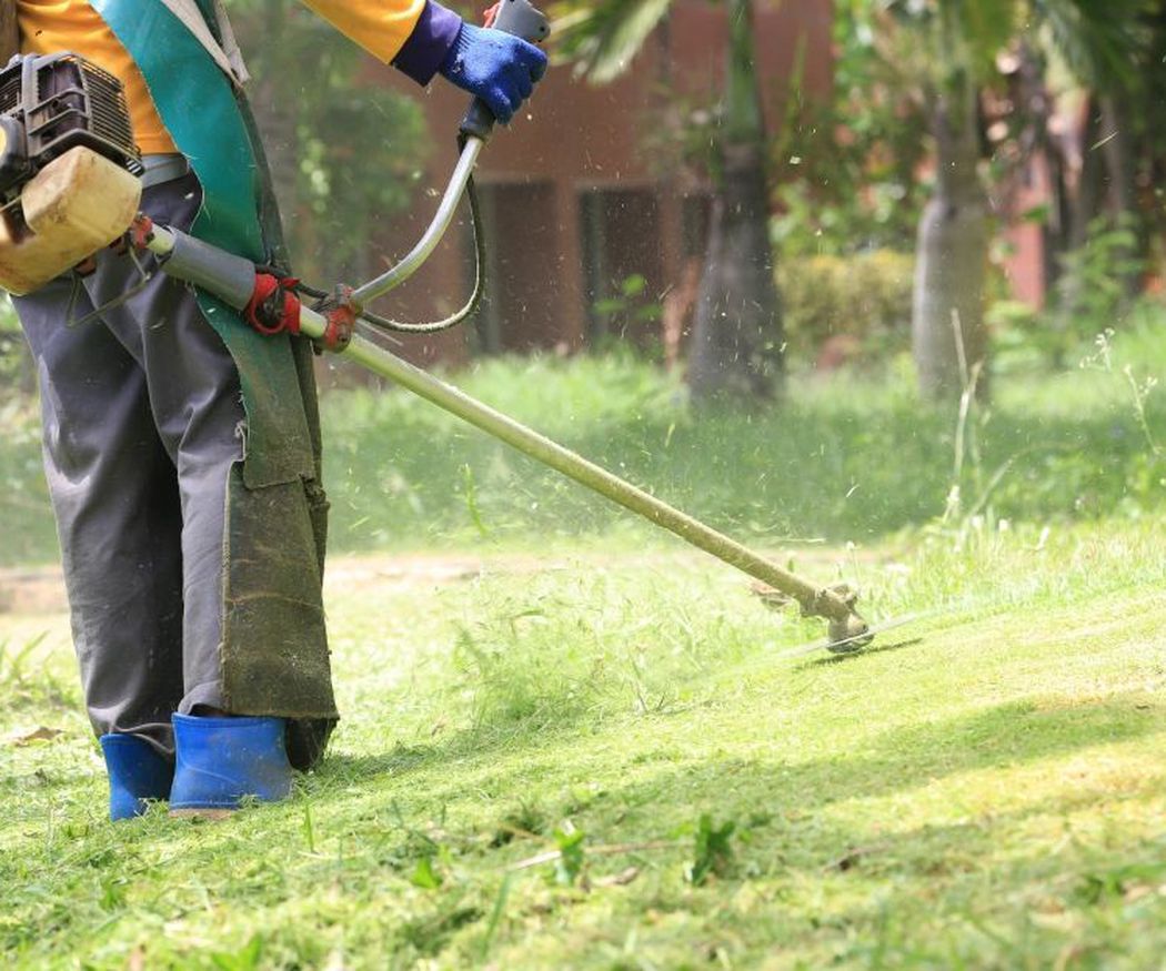 Tres pautas muy importantes en el mantenimiento de jardines