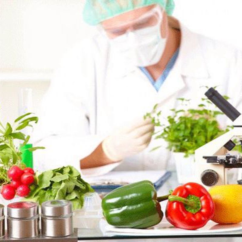 Control y buenas prácticas alimentarias: Cursos de CTS Centro de Formación