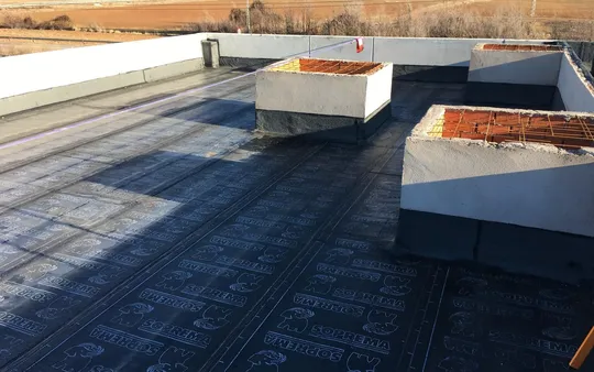 Imagen 5 de la galería