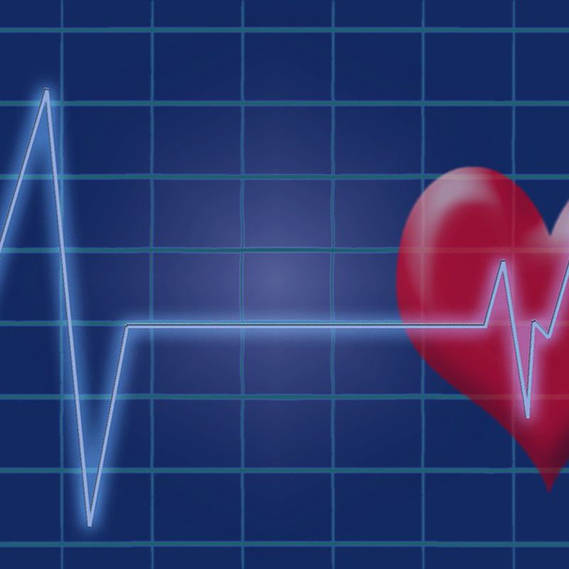 Cardiología: Especialidades de Portumedic