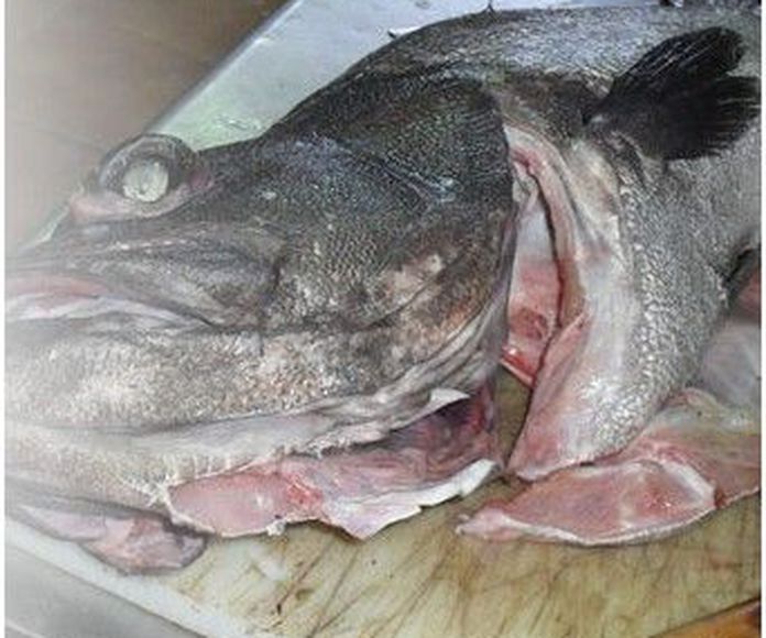 Pescados: Especialidades de Mijedo