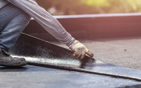 Imagen 7 de la galería