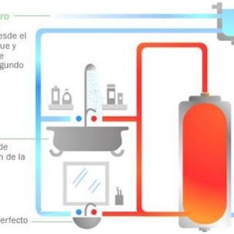 ¿Qué es la legionella?: Servicios de Exterplagas
