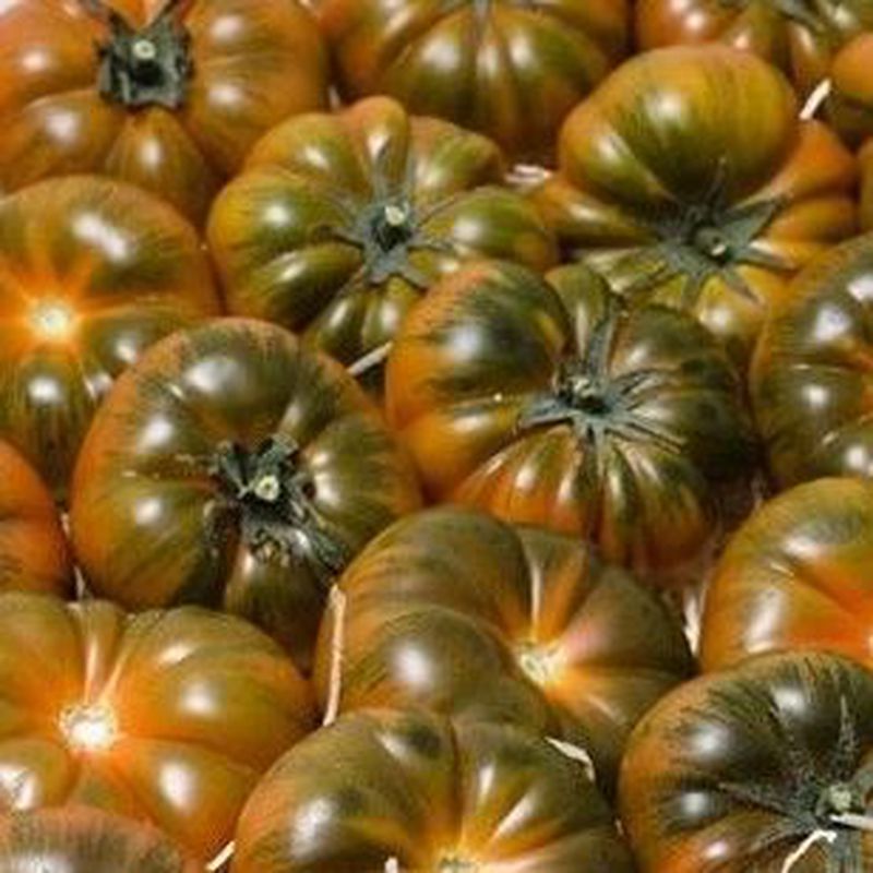 Tomates Raff: Catálogo de FRUTAS PAULA