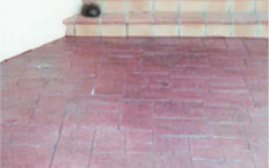 Imagen 5 de la galería