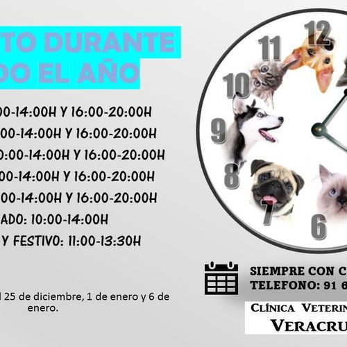 Horarios de la Clínica Veterinaria Veracruz