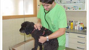 Imagen de Servicios - Consulta general