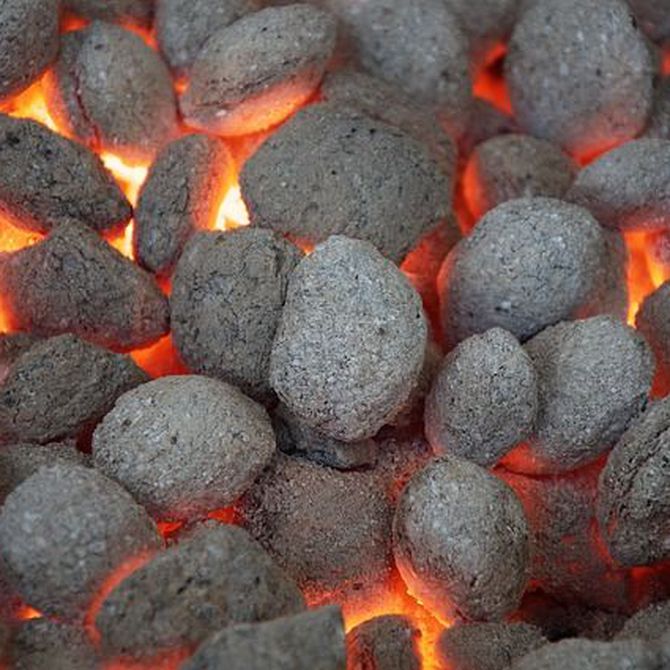 ¿Cómo se hace el carbón vegetal?