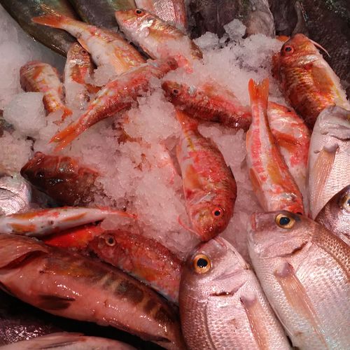 Pescado fresco y congelado en Las Palmas