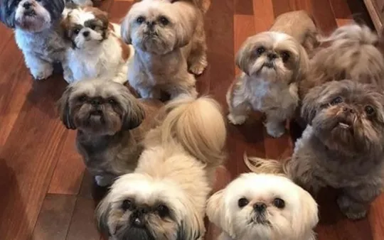 Urgencias 24 horas en Calpe