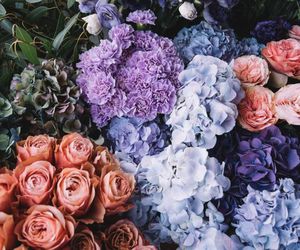 Las flores más curiosas del mundo