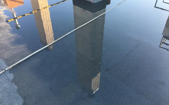 Imagen 4 de la galería