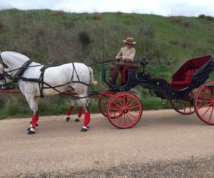 Coches de caballos para bodas en Don Benito, Badajoz