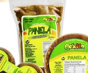 Panela Coexito