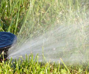 Especialistas en sistemas de riego para jardines y para la agricultura en Elda