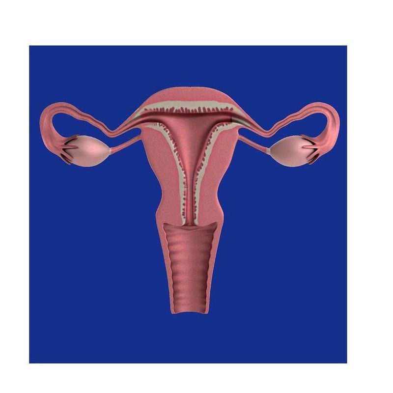 Extirpación radical del útero con linfadenectomía: Nuestros Tratamientos de HOSPITAL RECOLETAS DE SEGOVIA
