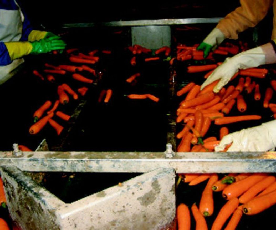 Cómo hacer tus propias zanahorias encurtidas