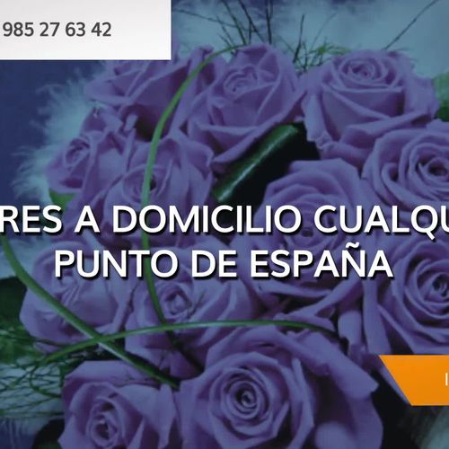 Flores a domicilio en Oviedo | Bouquet Flores y Plantas