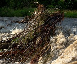 Evitar inundaciones con la limpieza de ríos