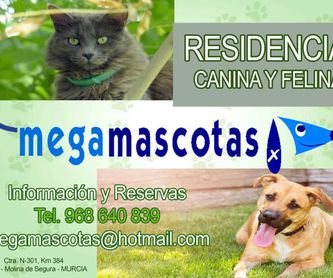 Tienda veterinaria: Servicios de Megamascotas